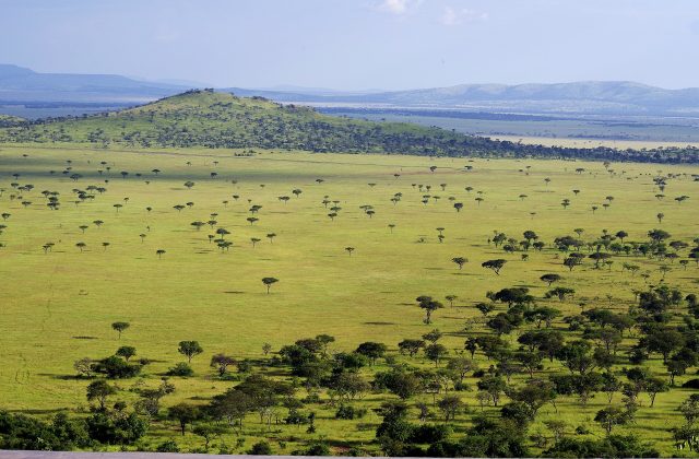 Serengeti National Park, Tanzania